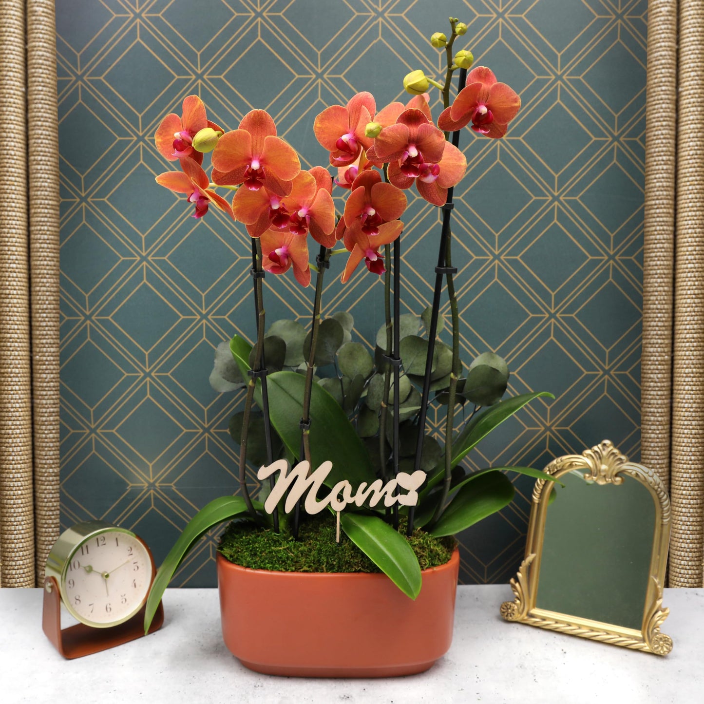 Green Circle Growers 10" Salmon Orchid Duo in Orange Pot with Mom Pick and Eucalyptus, Live Indoor Plants, House Plant