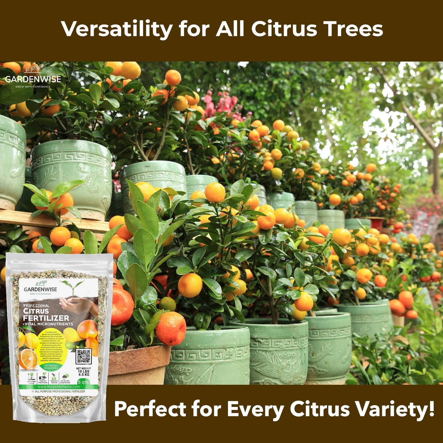 GARDENWISE Professional Citrus Fertilizer + Vital Micronutrients; Perfect Balanced NPK for All Citrus; for Indoor and Outdoor Plants; Orange, Lime, Avocado and Lemon Tree Fertilizer (1/2 Quart)