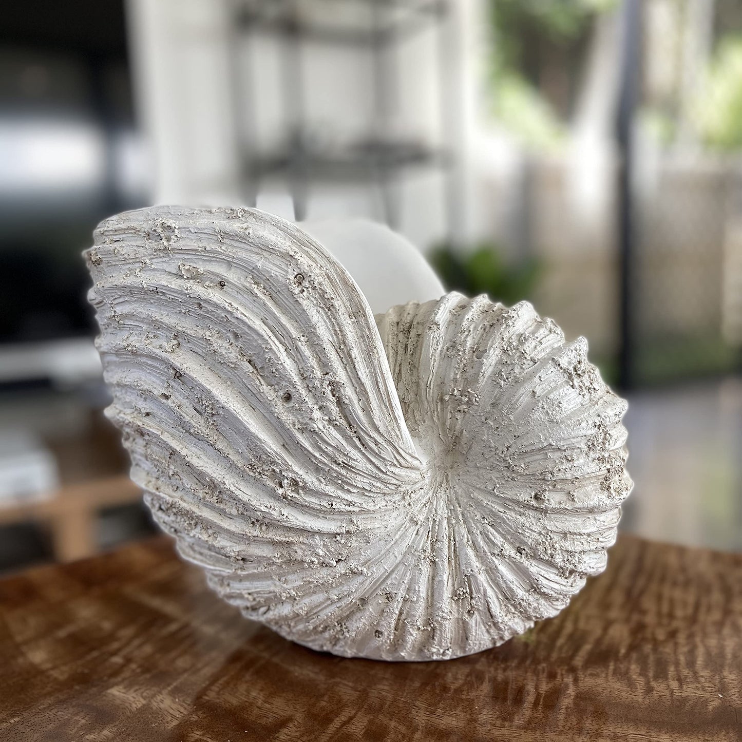 Huey House Large Nautilus Shell Sculpture, White Seashell Beach Decor