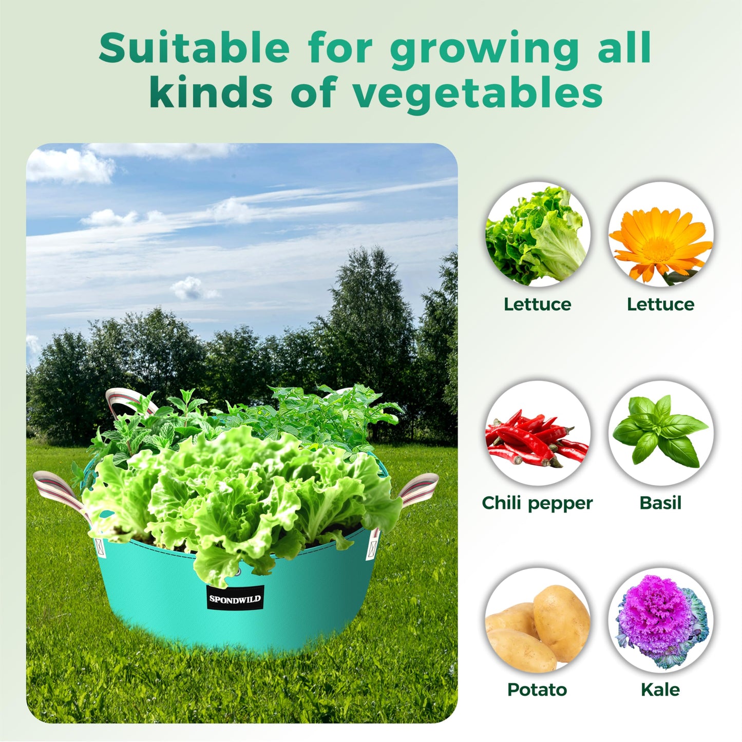 SPONDWILD [Upgraded] 2 Pack 15 Gallon 3 Compartment Potato Grow Bag,Vegetable Growing BagThickened PE Garden Pots with Drainage Holes Branch-Binding Holes, Reusable Plant Bag for Vegetables、Flowers