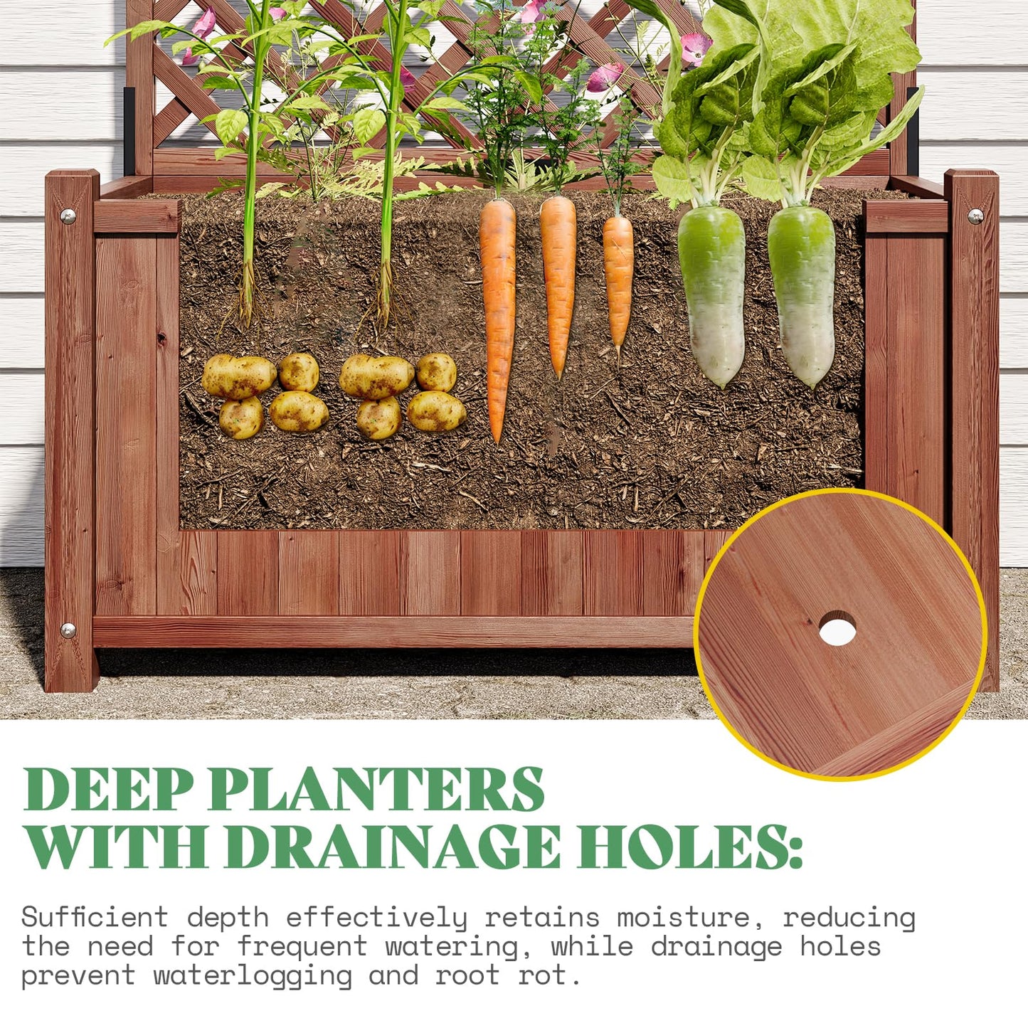 AMERLIFE 2 Pack Raised Garden Bed with Trellis for Vegetables, Climbing Plants, Durable Natural Wood Planter Box with Drainage Holes, Privacy Planter for Outdoor Yard & Patio, Easy Assembly