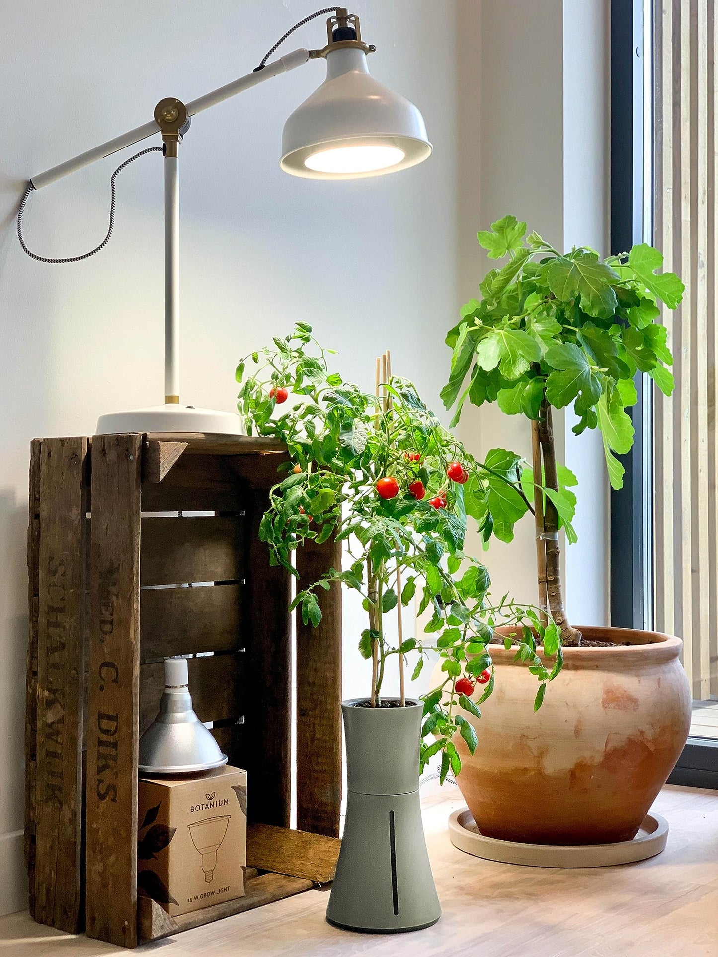 Botanium Hydroponic and Automatic Indoor Gardening Pot, Grey