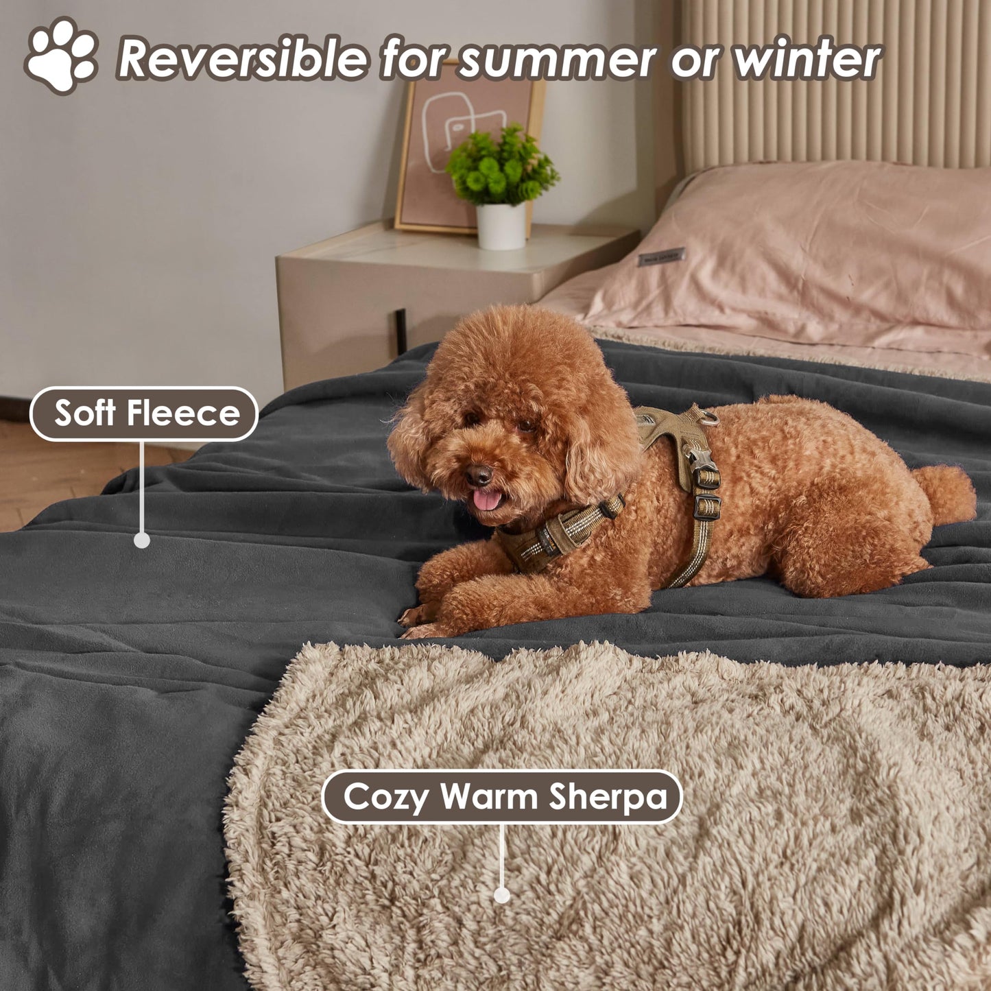 Pawsee Waterproof Dog Blanket Washable, Sherpa Fleece Pet Blanket for Puppies Cats Dogs, Reversible Waterproof Protector Cover for Dog Sofa Bed, 125 x 75 cm, Gray/Tuape