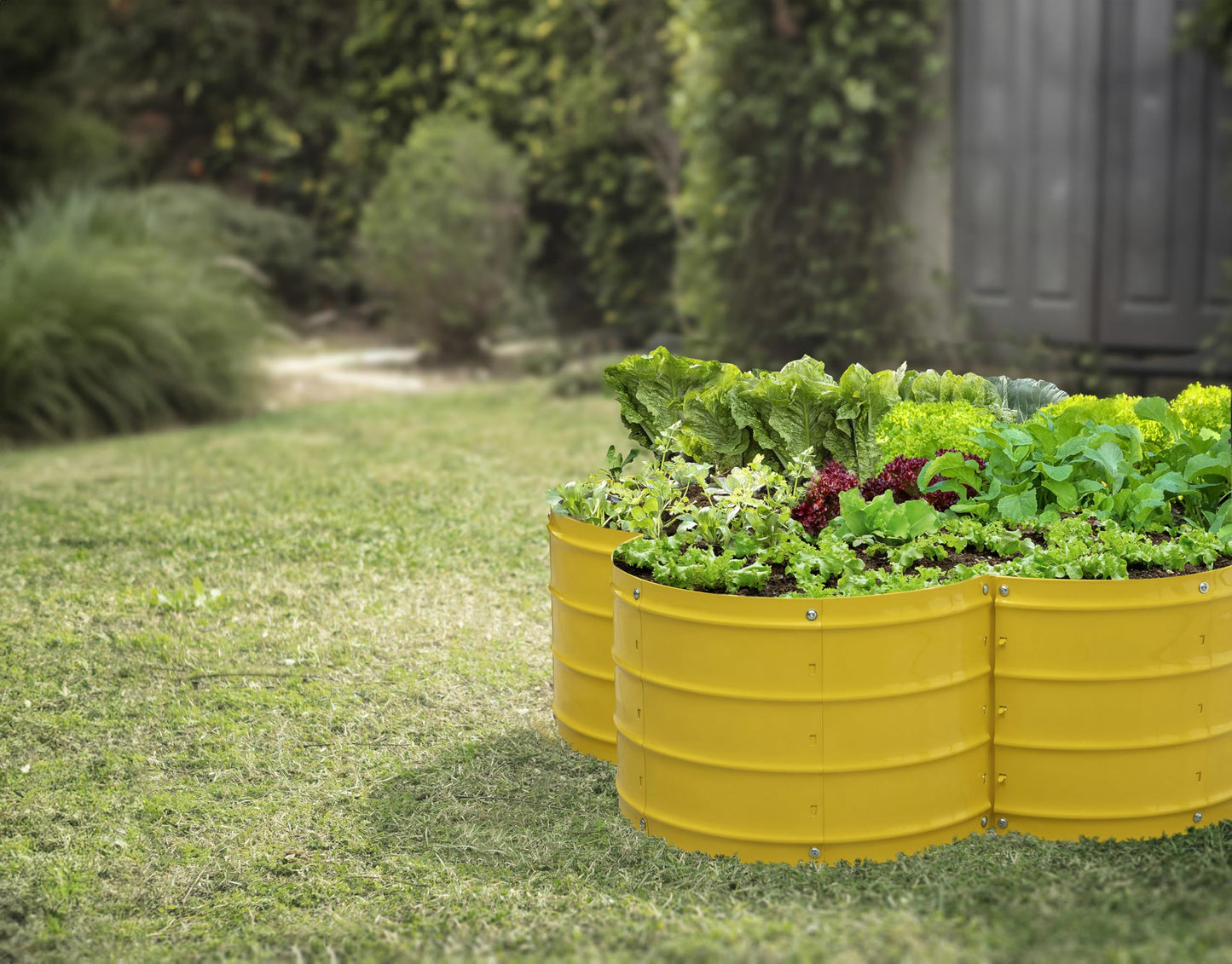 Plant & Plot Galvanized Raised Garden Beds Outdoor // 3×3×1 ft Planter Raised Beds for Gardening, Vegetables, Flowers // Large Metal Garden Box (Yellow) // Patented Tool-Free Design