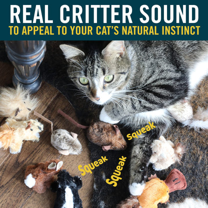 OurPets Play-N-Squeak Mouse Hunter Cat Toys (Interactive Cat Toy & Catnip Toy with Real Mouse Electronic Sound) Perfect Toys for Indoor Cats with Catnip