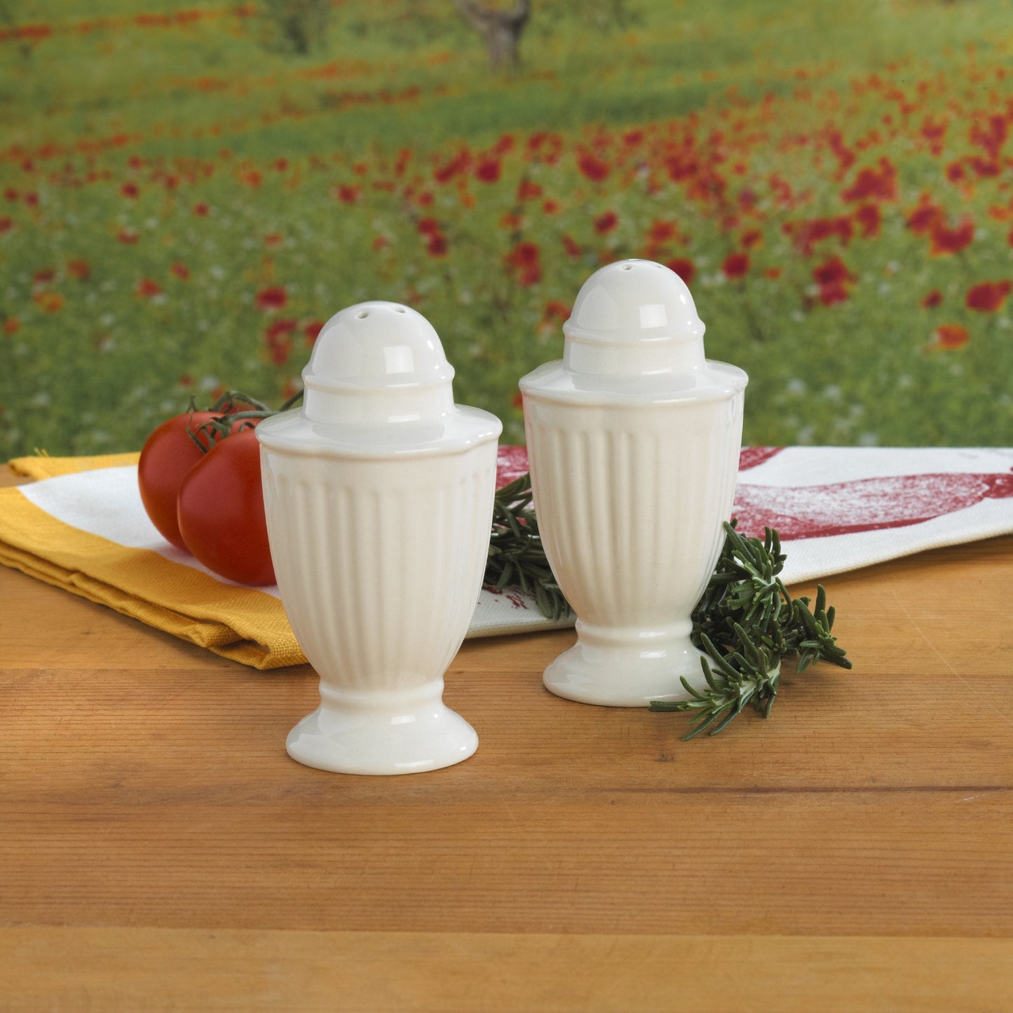 Mikasa Italian Countryside Salt and Pepper Set - DD900-751