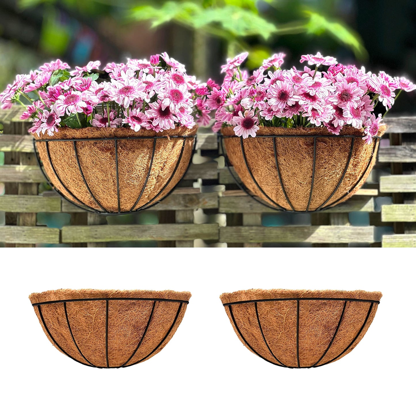 LaLaGreen Wall Hanging Planters, 2 Pack, 12 Inch Wall Mounted Flower Baskets with Coco Liner, Metal Iron Wire Plant Holder for Outdoor Window Box Herb Outside Fence Railing Deck Porch Balcony Garden
