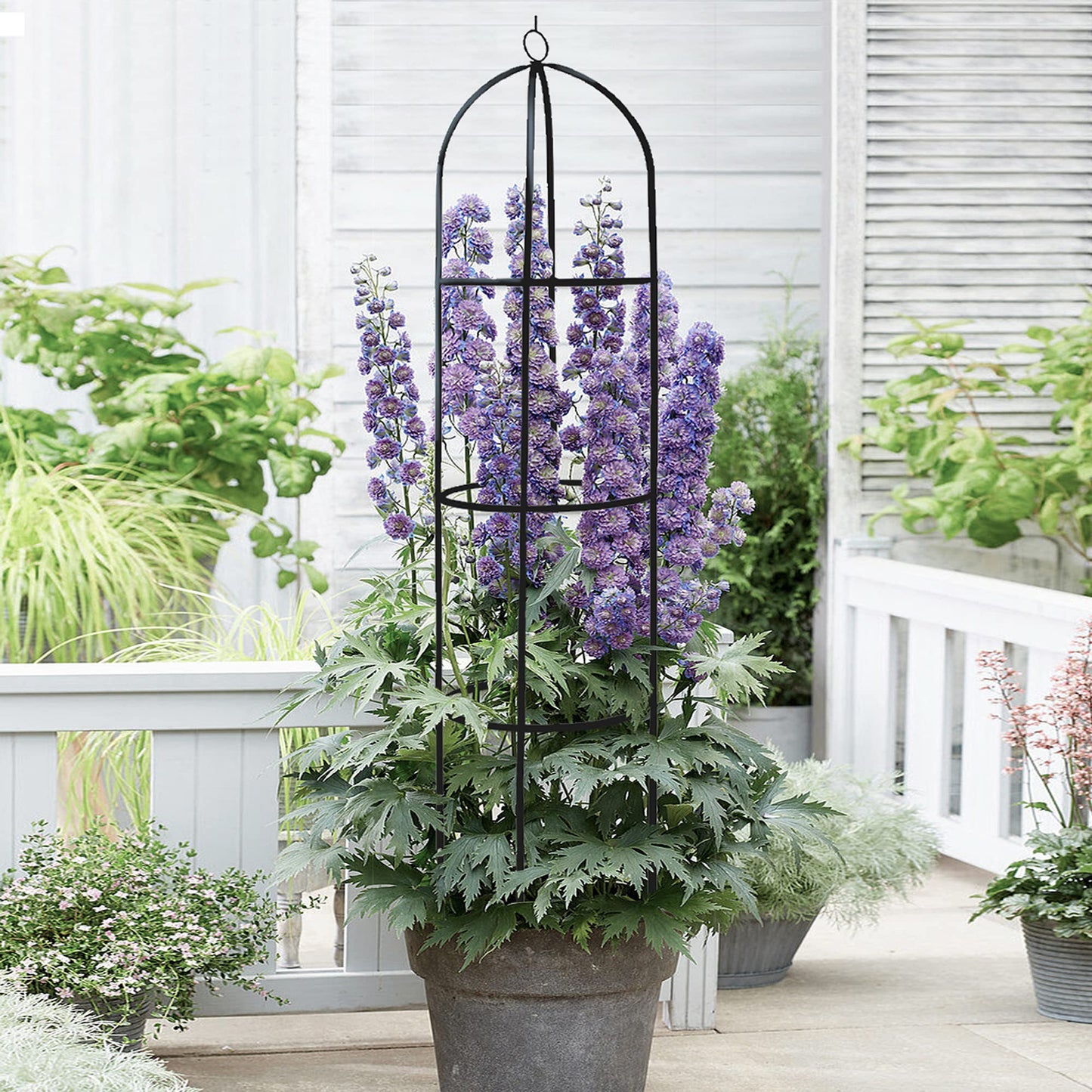 Garden Obelisk Trellis for Climbing Plants Outdoor 6 Ft Rose Bush Round Trellis for Pots Rustproof Metal Plant Flower Trellises for Clematis Vine Jasmine Support Outdoor Indoor