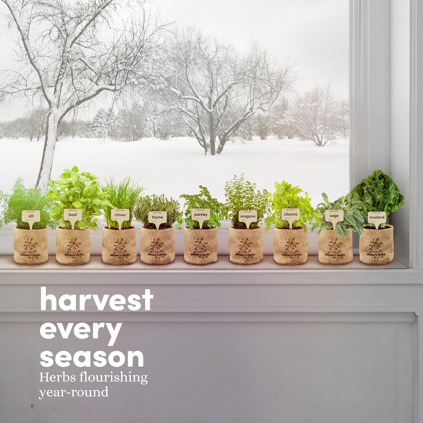 Planters' Choice 9 Herb Indoor Window Garden Kit - Mothers Day Gifts - House Plants Seeds - Best Unique Gift Ideas for Women, Mom, Friend, Her, Birthday, Housewarming, Mother - Live Plant Starter