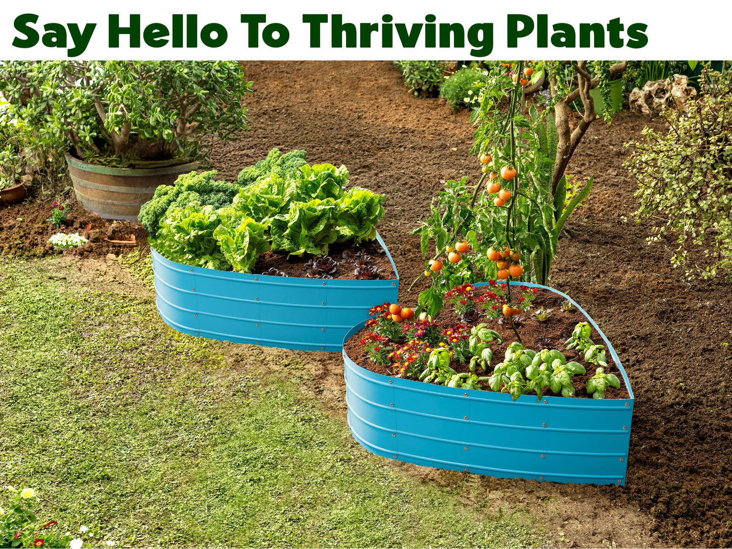 Plant & Plot Galvanized Raised Garden Beds Outdoor // Planter Raised Beds for Gardening, Vegetables, Flowers // Large Metal Garden Box (Teal) // Tool-Free Assembly