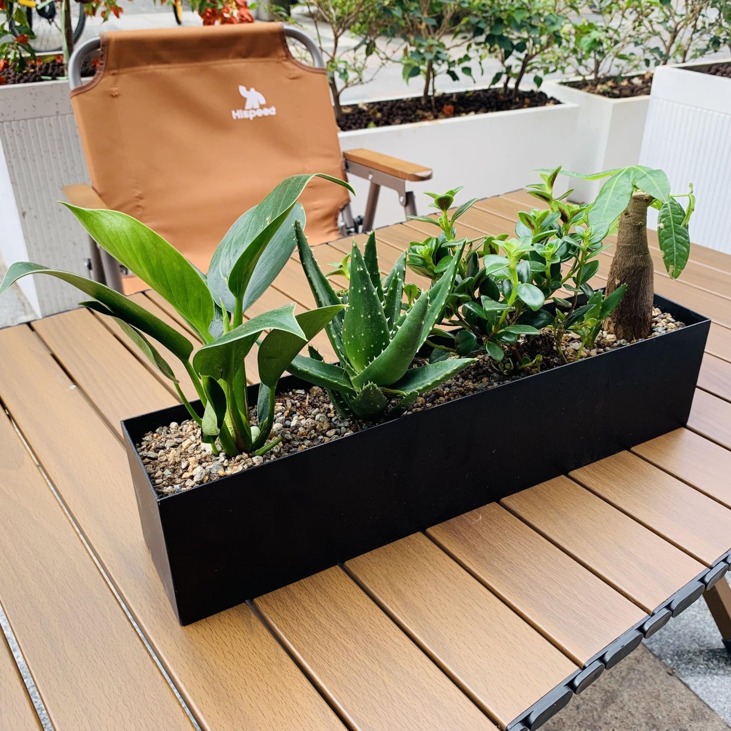 PSOIRGCNH Modern Metal Steel Trough Planter - Rectangle Black Planters for Indoor - 16" Window Sill Planters - Table or Window Boxes Planter - Windowsill Herb(1pc Short Black)
