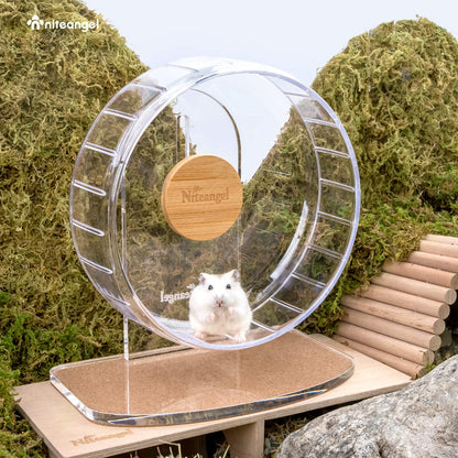 Niteangel Super Silent Hamster Exercise Wheels - Quiet Spinner Hamster Running Wheels with Adjustable Stand for Hedgehog Gerbils Mice Or Other Small Animals (Small, Transparent)