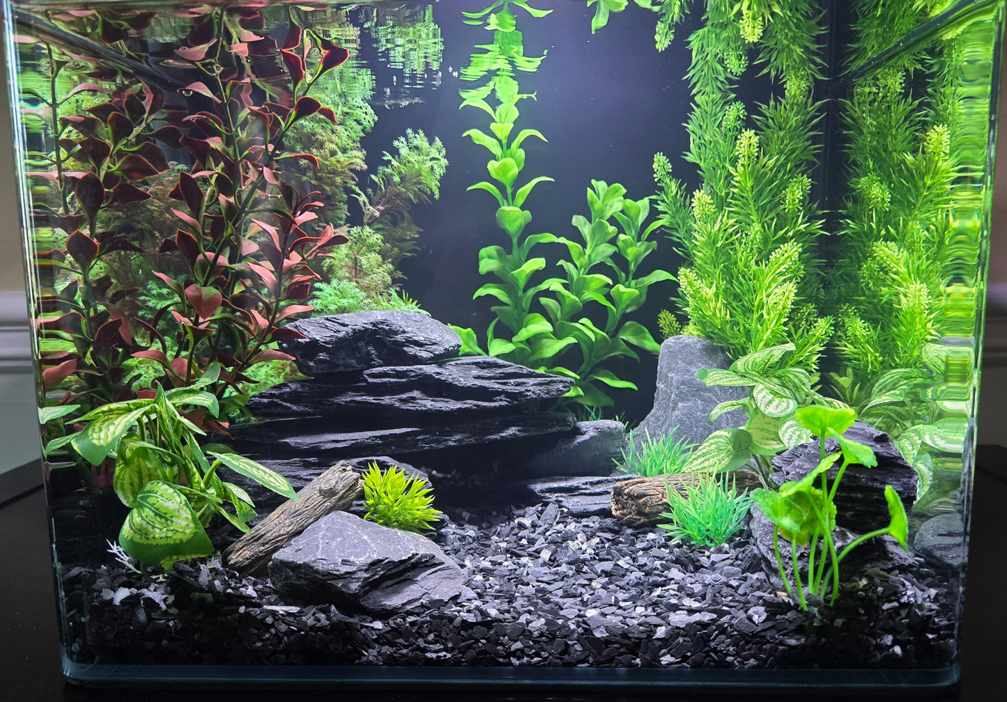 Natural Slate Stone 5 to 7 Inches - USA Sourced and Packaged for Aquascaping Aquariums, Terrariums, Paludariums, Reptile Enclosures, and Gardens (5lbs)