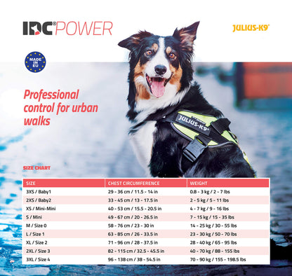 Julius-K9 IDC Powerharness, Blue, S/Mini