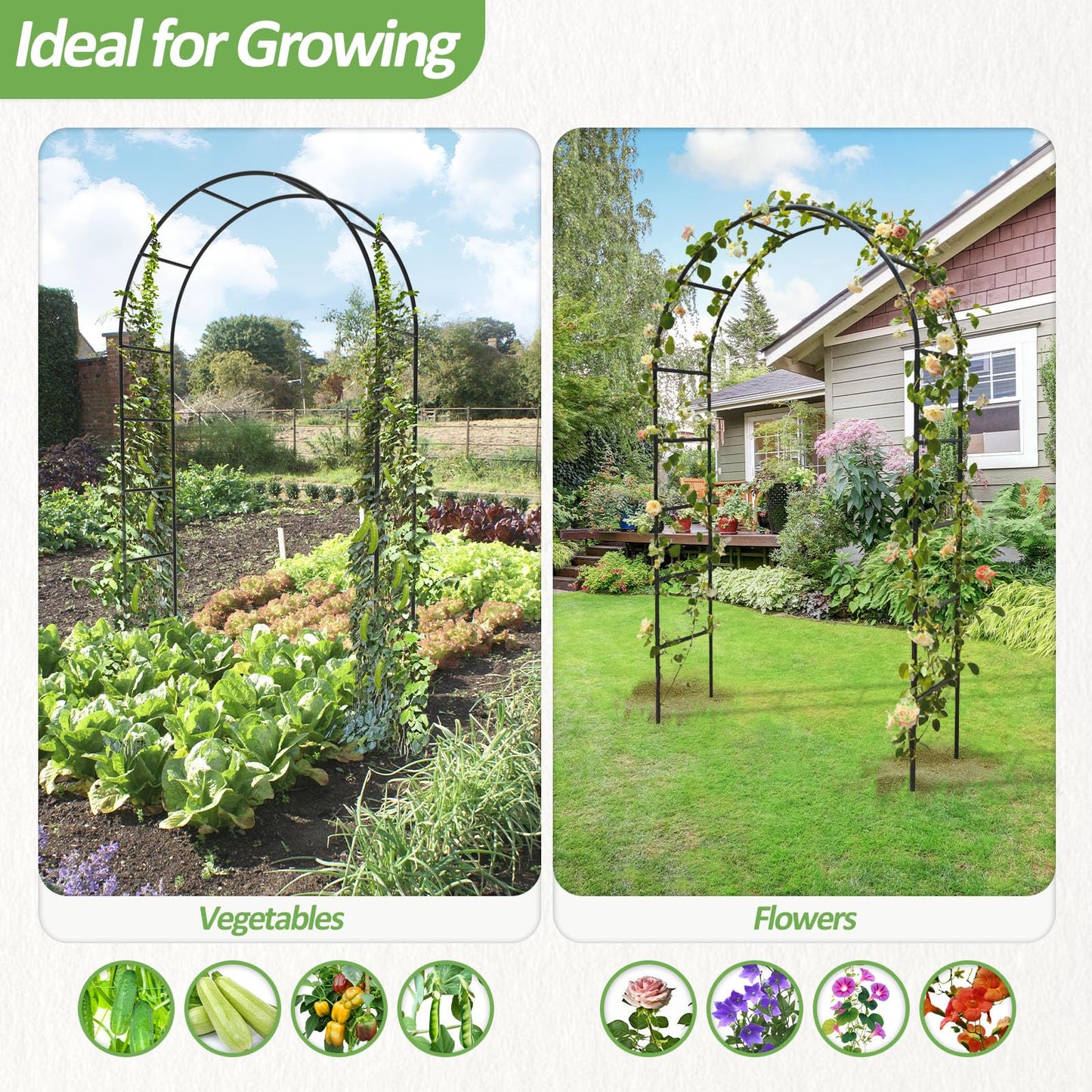 Trellume Garden Arch Trellis for Climbing Plants Outdoor - Height: 94.5", Length: 55", Sturdy Metal Garden Arbor with Rust-Proof Coating, Garden Arch for Wedding Decorations and Balloon Arch Stand