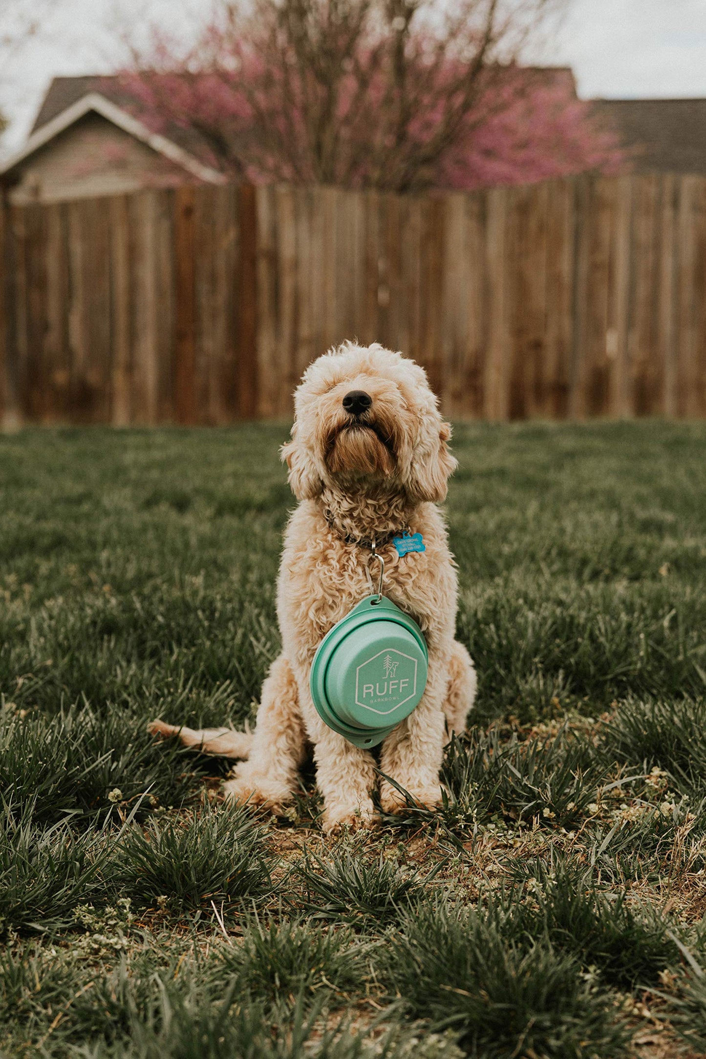 Ruff Products BarkBowl (800ml) - Collapsible Dog Bowl (Tiffany Blue) Premium Quality, Platinum-Cured Food Grade Silicone, No Plastic Rim, Food Safe, Large Travel Bowl