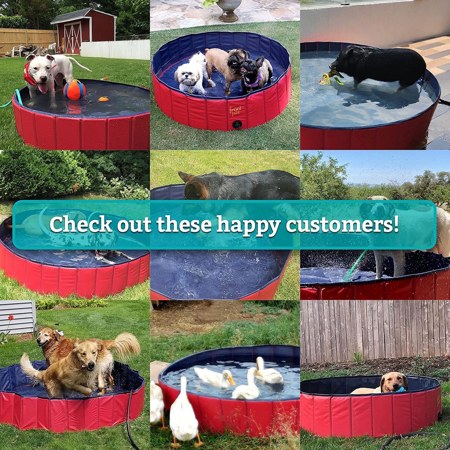 Frontpet Foldable Dog Pool - Collapsible Pet Pool, Bathing Tub and Kiddie Pool, Perfect for Small, for Medium and for Large Dogs (Small - Extra Large)
