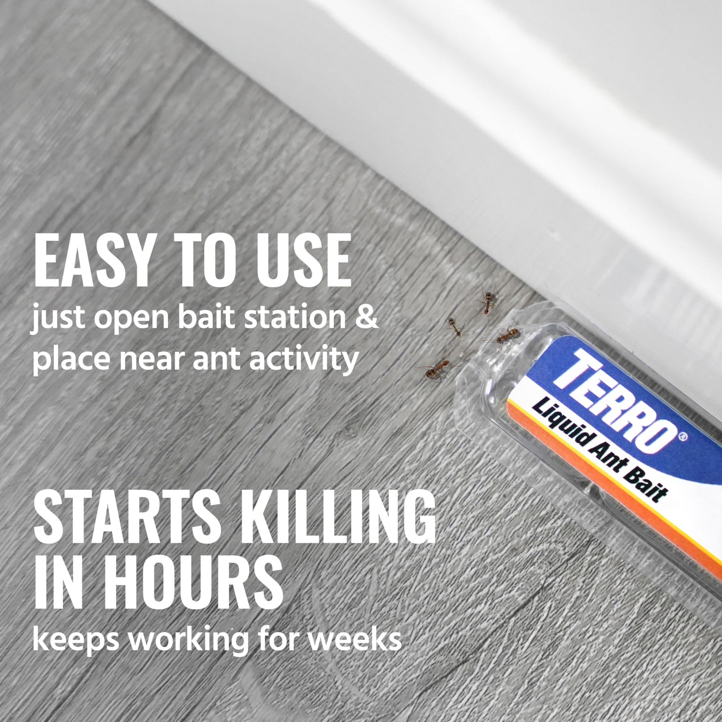 TERRO Ant Killer Bait Stations T300B - Liquid Bait to Eliminate Ants - 12 Count Stations for Effective Indoor Ant Control