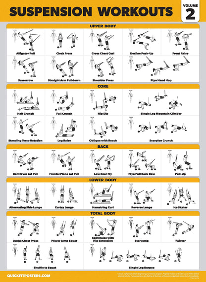 Palace Learning 3 Pack Suspension Workout Posters - Volume 1, 2 & 3 - Exercise Charts (LAMINATED, 18" x 24")