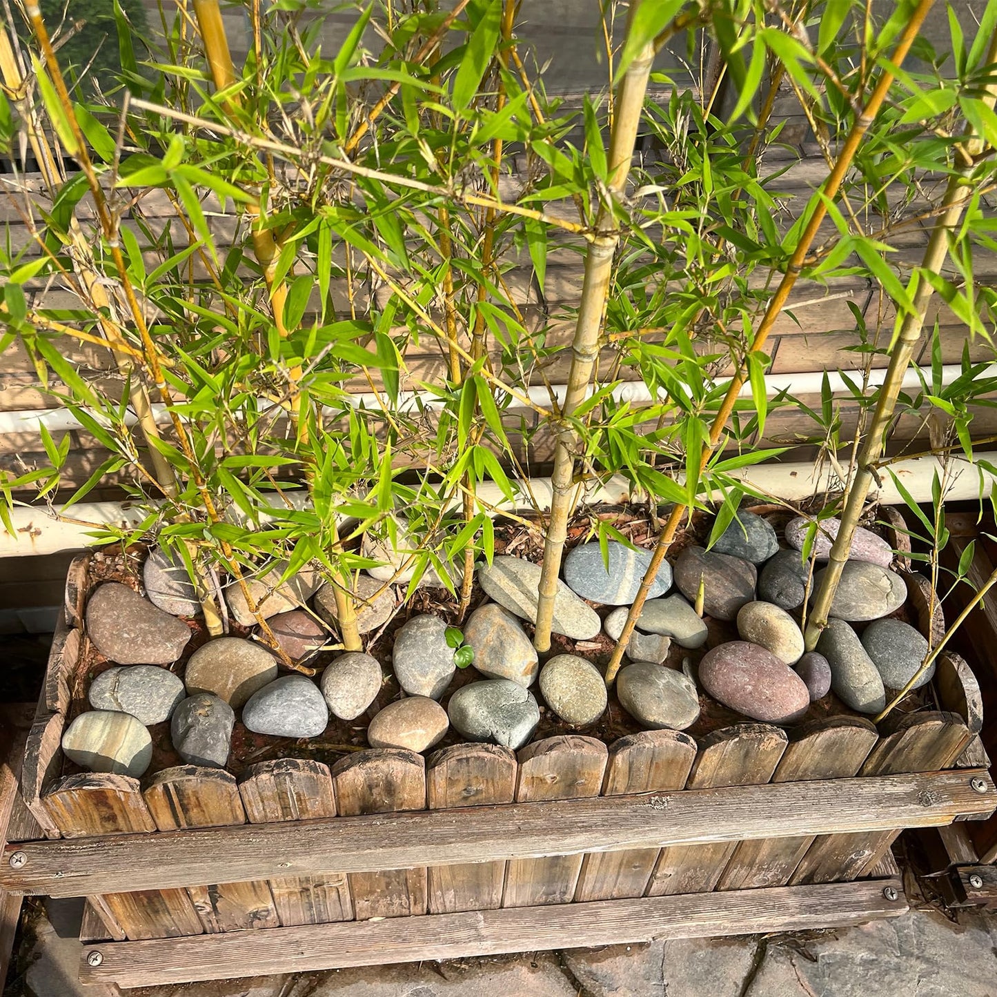 FANTIAN 20 lbs Large River Rocks for Outdoor Landscaping, 3-4 Inch Decorative Pebbles for Landscaping Garden Yard Paving Fish Tank Plant Crafting Walkways and Painting