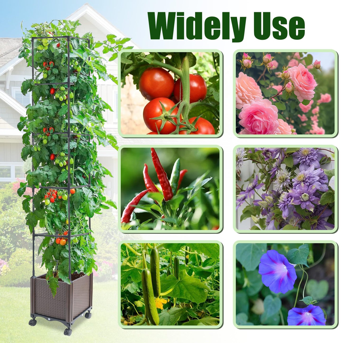 Quibbay Raised Garden Bed with Tomato Planter Cage,50.4" Self Watering Tomato Planter with Plastic Coating Steel Pipe for Climbing Vine Flowers Outdoor, Tomatoes Cage with Trellis Wheels, 1Pack