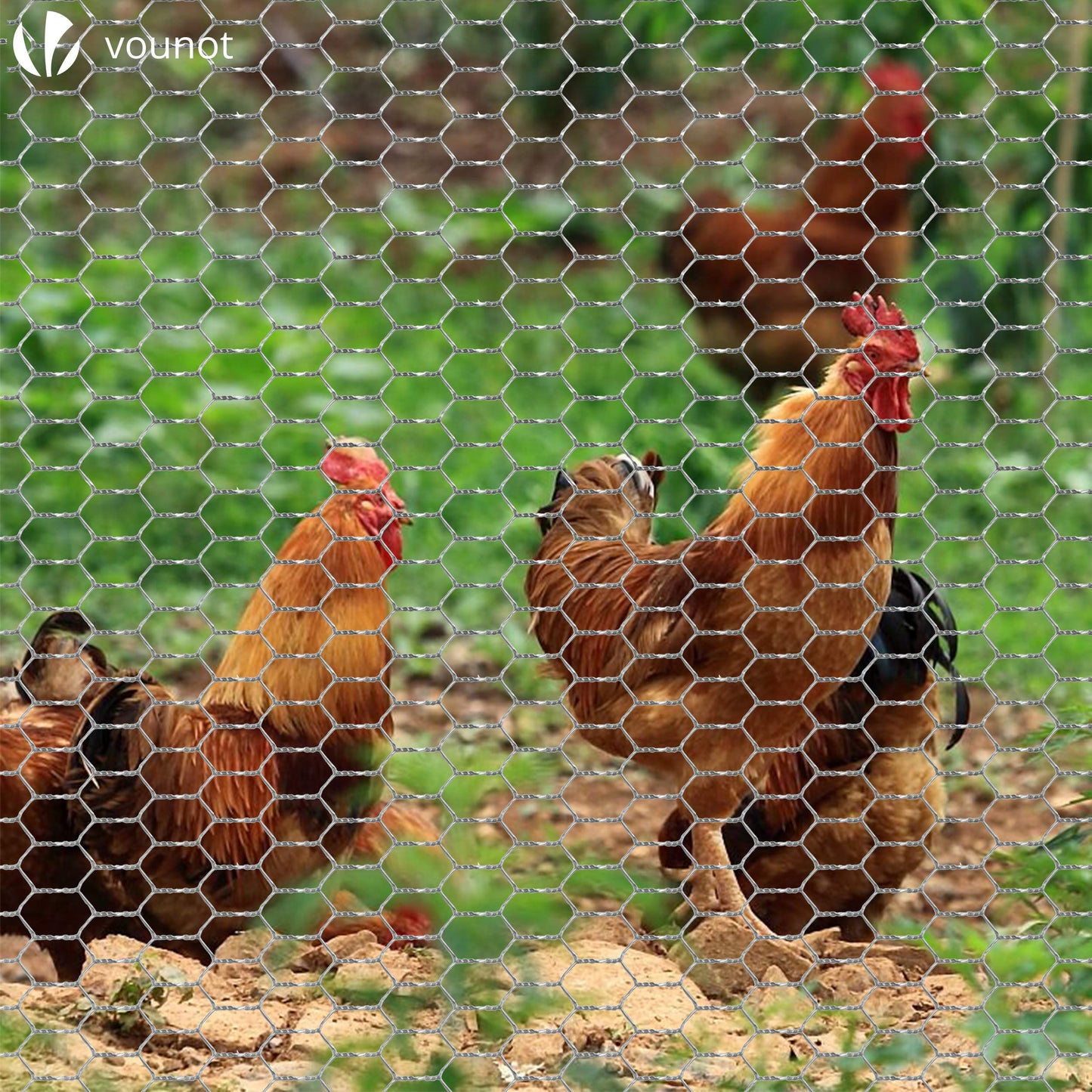 VOUNOT Chicken Wire Mesh Roll, PVC Coated Hexagonal Wire Mesh Fencing, Wire Poultry Netting, 1m x 25m, Hole Size: 13mm, Grey