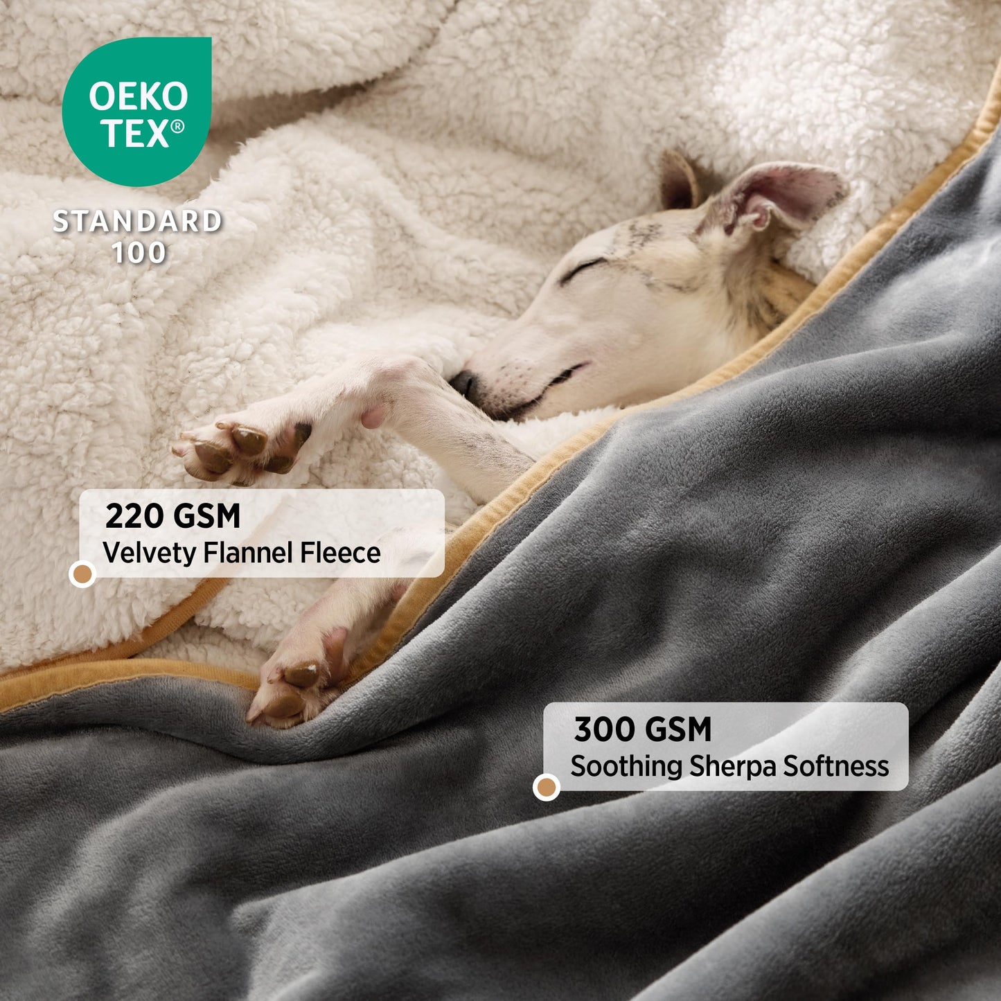 LE SURE Waterproof Dog Blanket Washable - 100x80cm Fleece Pet Blanket For Medium Dogs and Cats, Personalised Kitten Throw Protects Bed and Sofa with Soft Plush, Grey