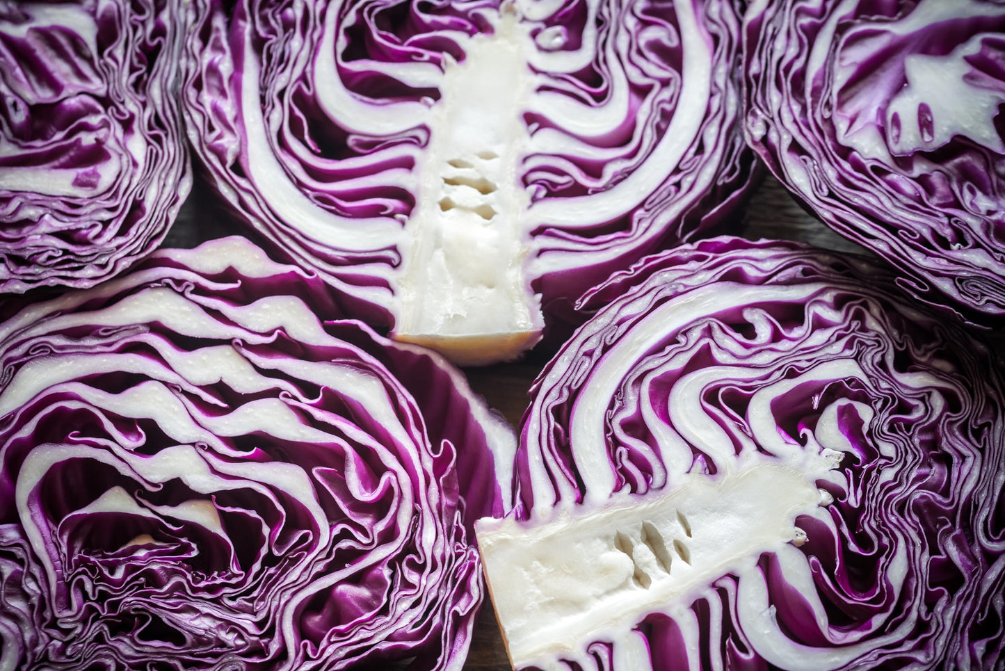 Cabbage Seeds for Planting - Plant & Grow Red Acre Cabbage in Your Home Outdoor Vegetable Garden - Heirloom Non GMO Planting Packets with Full Instructions - Great Gardening Gift, 5 Packets