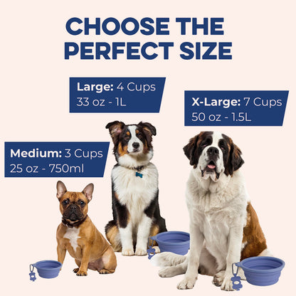 Bonza Large Collapsible Dog Bowl 1000 mL, Sturdy Reinforced Rim, Includes Carabiner & Water Bottle Holder Keychain