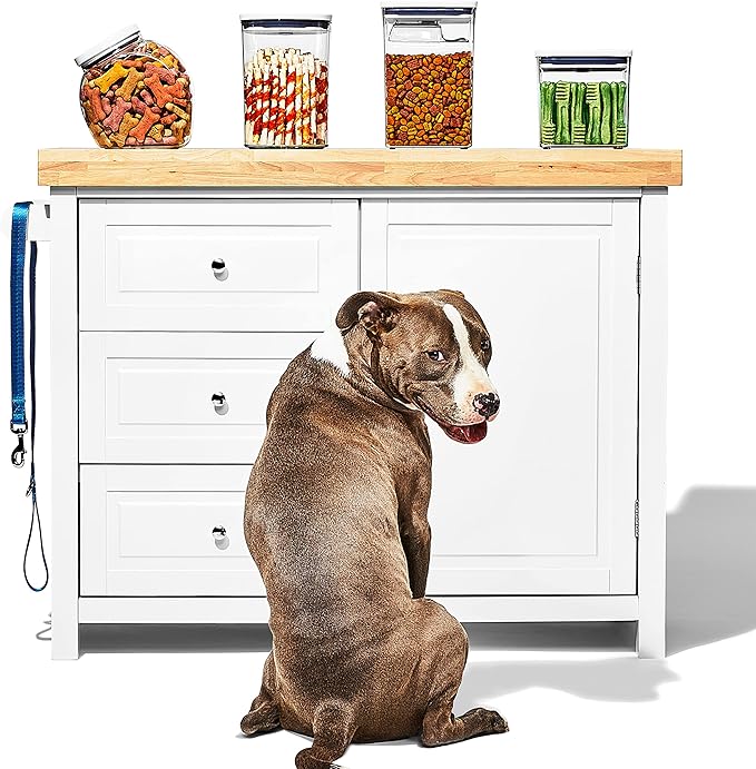 OXO Good Grips Pet POP Container – 2.8 Qt/2.6 L |Ideal