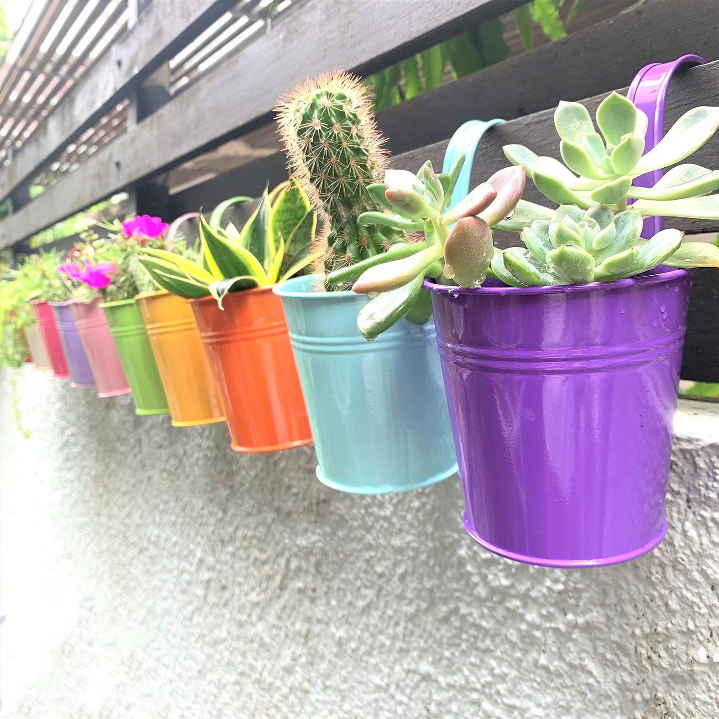 LaLaGreen Small Hanging Planters Outdoor - 10 Pack, 4 Inch Rainbow Planter Colorful Flower Pots Metal Iron, Rail Balcony Garden Deck Railing Plant Hanger Fence Wall, Herb Bucket Indoor Window Boxes