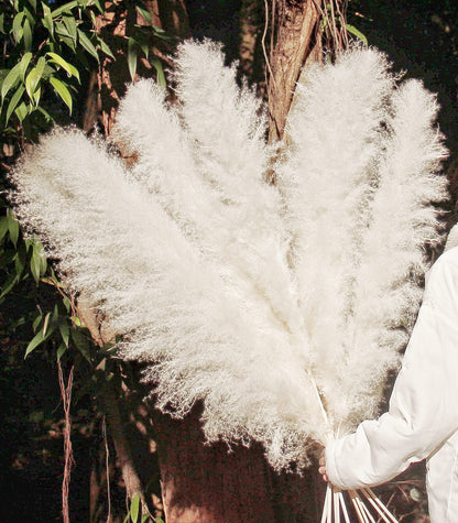 Bannifll 46 Inch 10 Stems White Pampas Grass Decor Tall, Dried Plants, Natural Dried Flowers for Wedding, Natural Home Decor, Wall Grass, Glam Decor