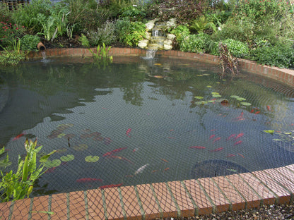 Blagdon 1022378 Clearview Pond Cover Netting, Strong Double Weave, Black, Fine, with 6 Fixing Pegs, Net Size 3m x 2m (10’ x 6’ 6”), Protects Pond