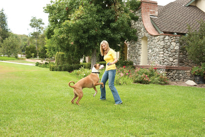 PetSafe Stay+Play Wireless Receiver Collar Blk