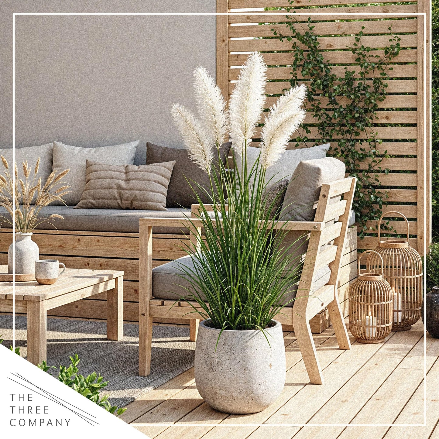Live Ornamental Pampas Grass (Cortaderia selloana) - White (2 Pack) - Perennial Accent Plant - 10" Tall by 5" Wide in 1.5 Qt Pot