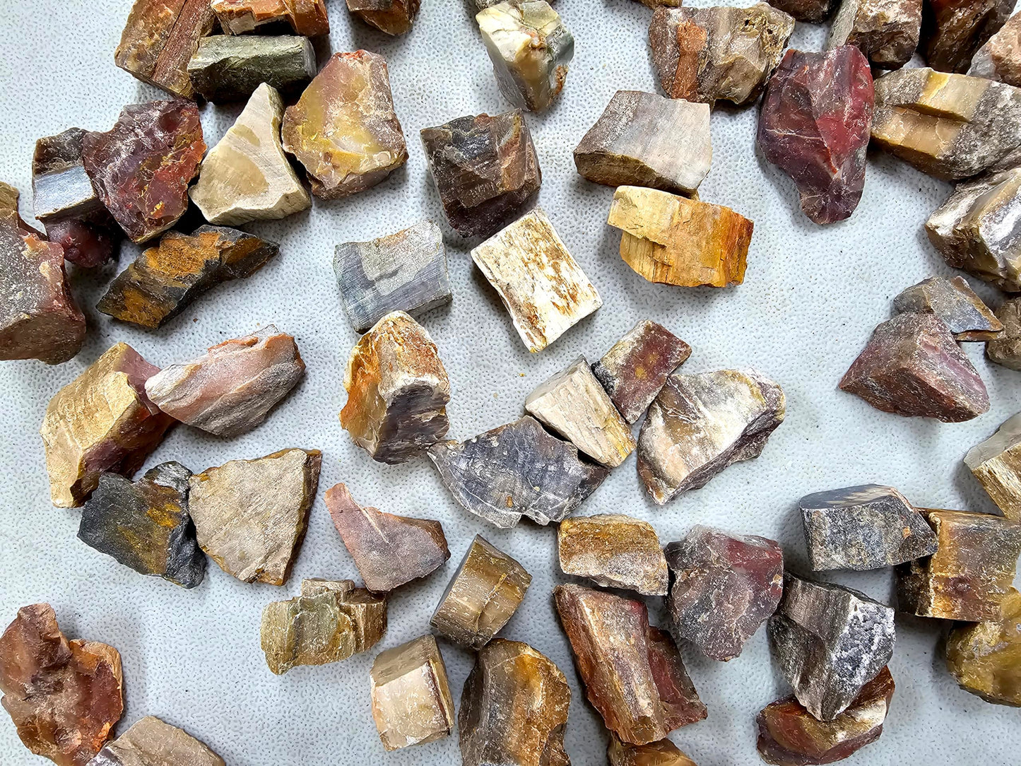 MINERALUNIVERSE Half Pound Petrified Wood Rough Stones - Bulk Petrified Wood - Raw Natural Stones & Crystals - Fountain Rocks for Tumbling, Polishing, Wire Wrapping, Reiki, Chakra Crystal Healing