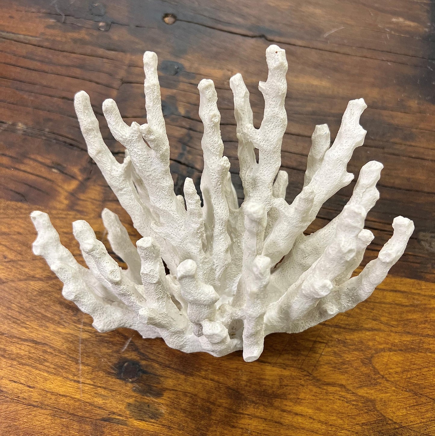 Abbott Collection 20-SEASHORE/25 Large White 3D Starfish Decorative Resin Figurine
