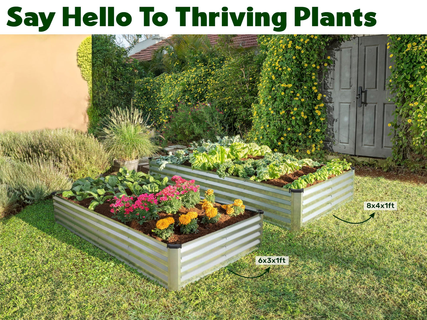 Plant & Plot Galvanized Raised Garden Beds Outdoor // 6×3×1 ft Planter Raised Beds for Gardening, Vegetables, Flowers // Large Metal Garden Box (Silver) // Patented Tool-Free Design