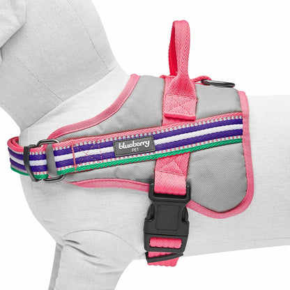 Blueberry Pet Soft 3M Reflective Dog Harness Vest | Mesh Padded No-Pull Harness with Back Clips | Multicolor Stripe in Pink, Emerald and Orchid| Adjustable for Large Dogs