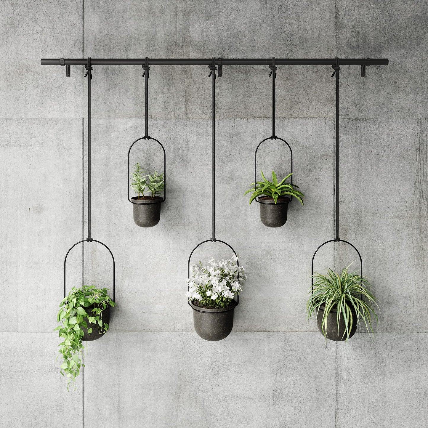 Umbra Triflora Hanging Planter for Window, Indoor Herb Garden, Set of 5, Black